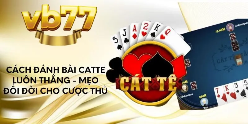 cach-danh-bai-catte-luon-thang-meo-doi-doi-cho-cuoc-thu