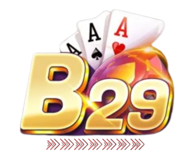 b29-logo