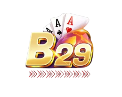 B29